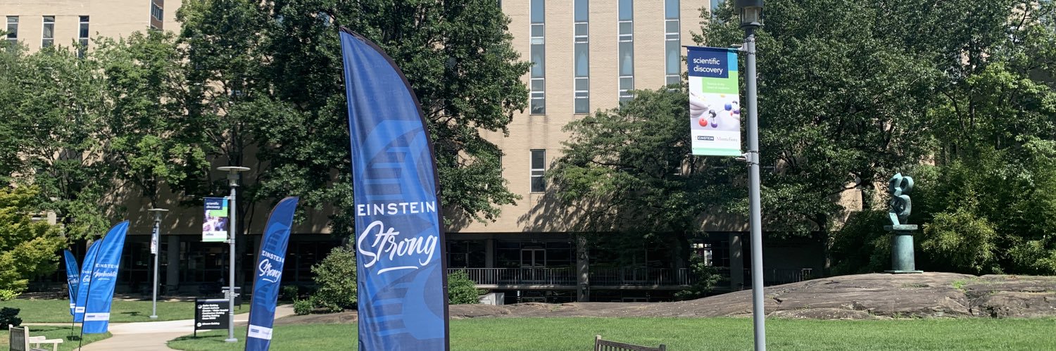 EinsteinPhD banner