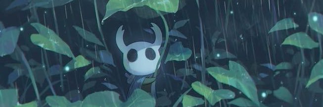 Ayden banner