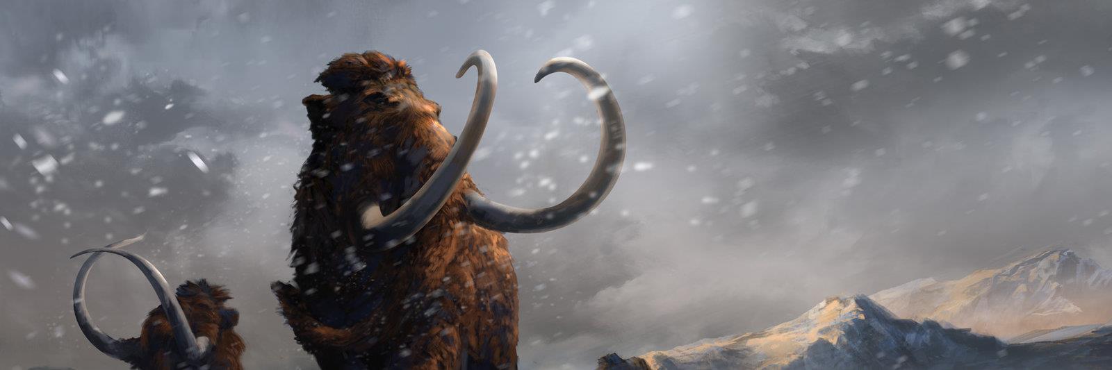 LostTimeWatcher's profile banner image