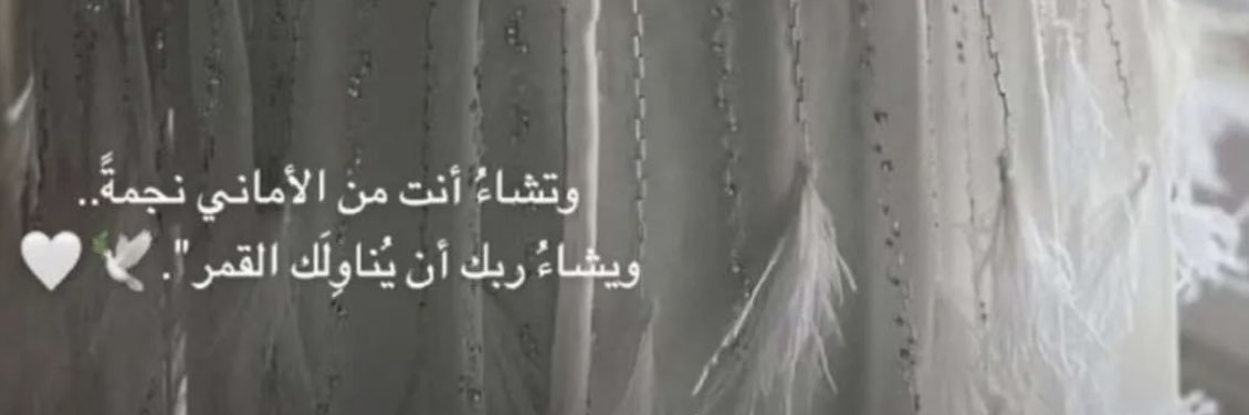 Amoora____q8's profile banner image