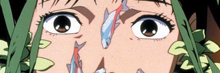 Amanda Dittami banner