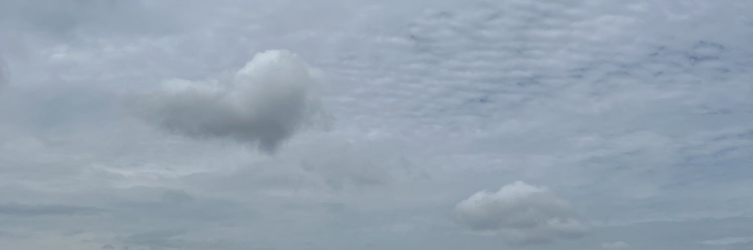 szemin9's profile banner image