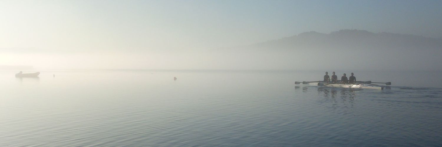 Viana Remadores Lima banner