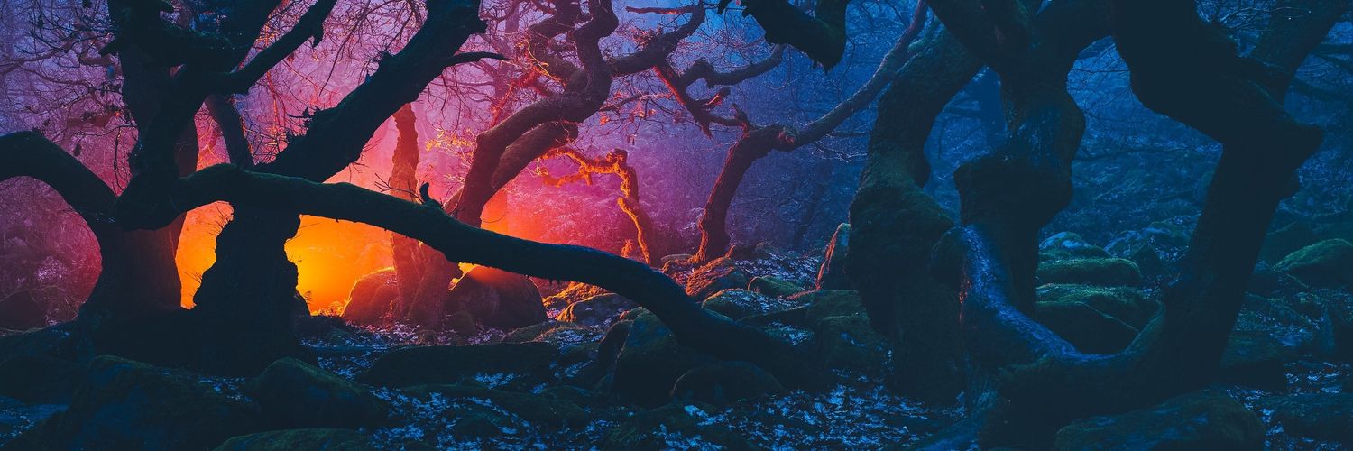 sincerezz's profile banner image