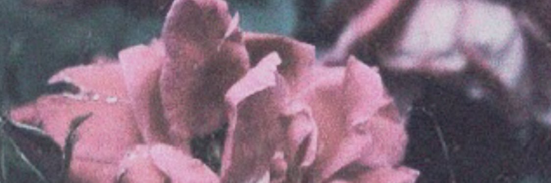 loovelaace's profile banner image