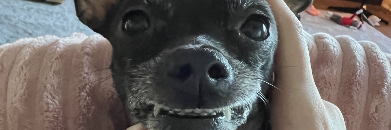 suckmyowl's profile banner image