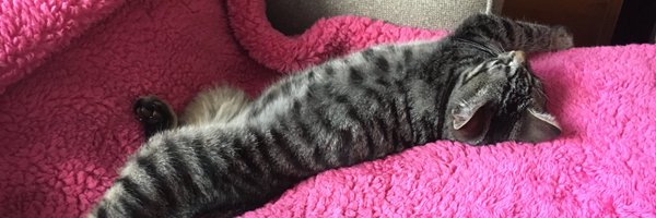 jillerbl Profile Banner