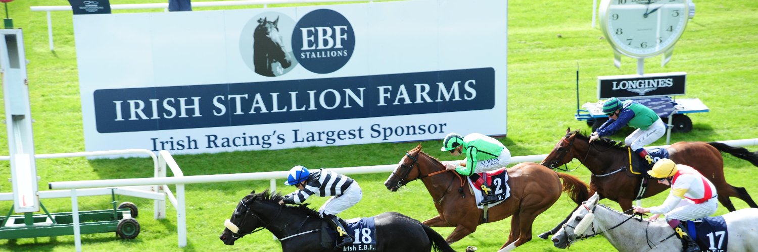 Irish Stallion Farms banner
