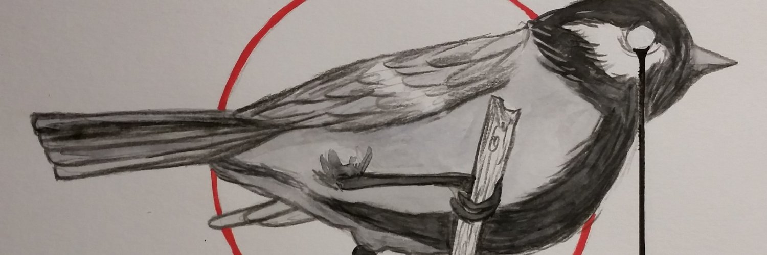 sandra_sorglos's profile banner image