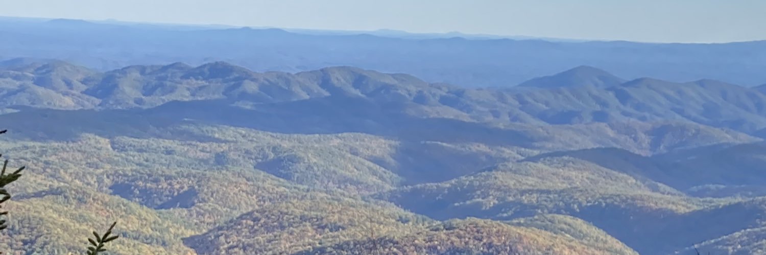 FeltsLewis's profile banner image
