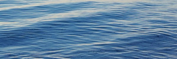 morganedesign__ Profile Banner