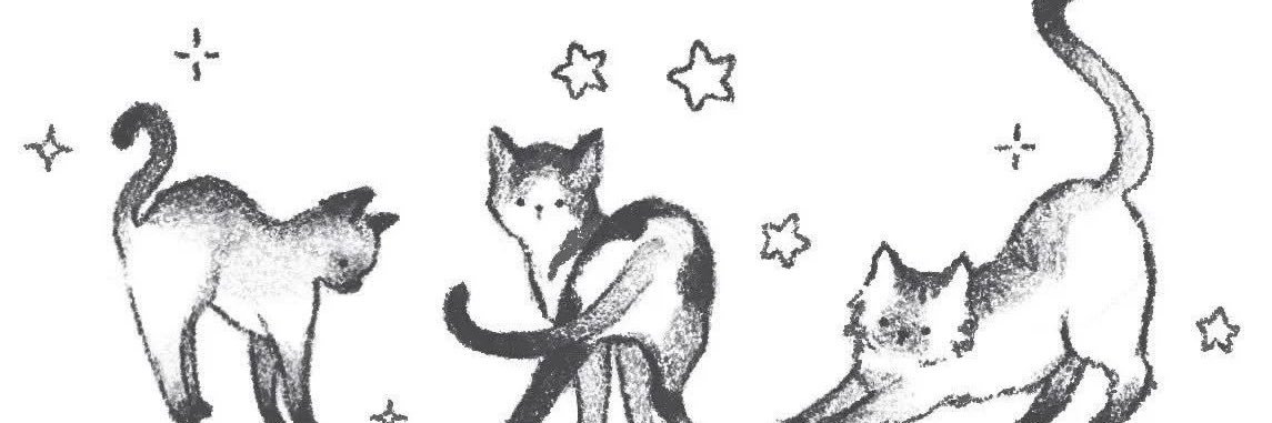 thelerzz's profile banner image