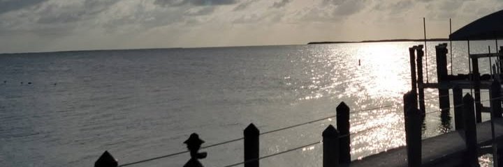 a_daijaa's profile banner image