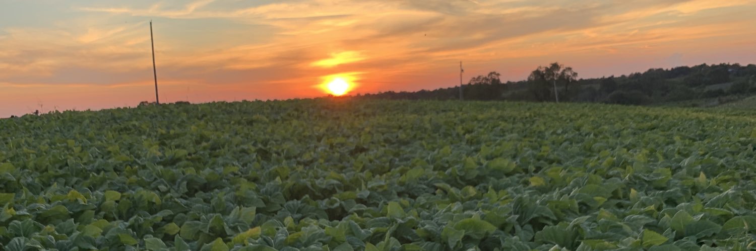 Drewsieking's profile banner image