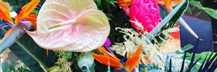 natasha nicole roffe @natwhatyou’dexpect banner