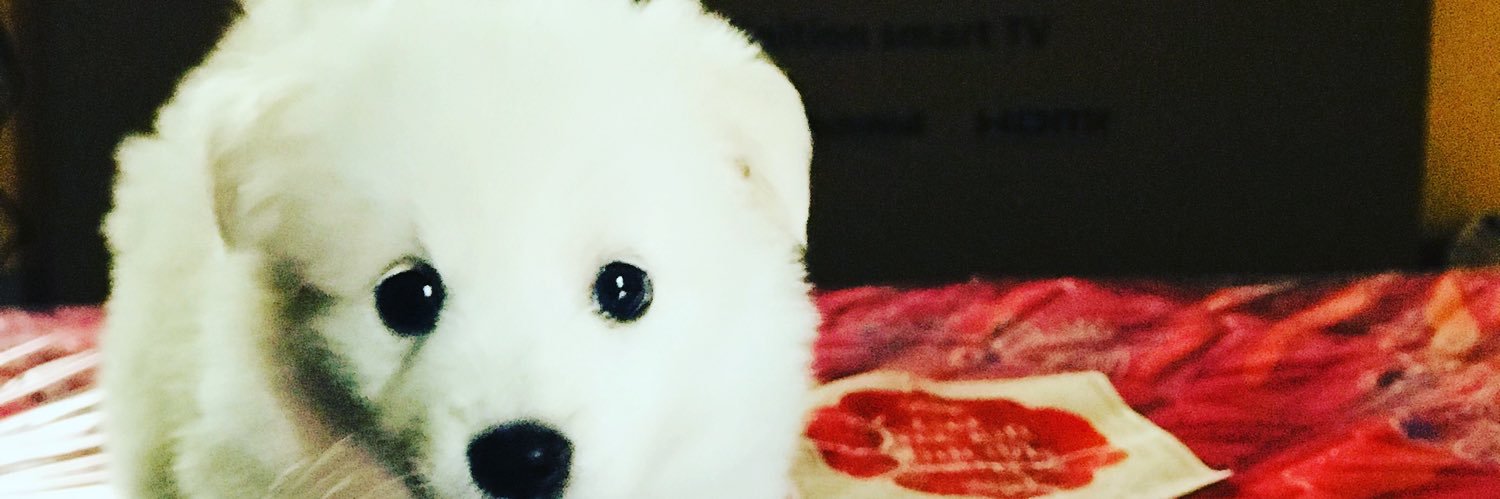PKreloaded banner