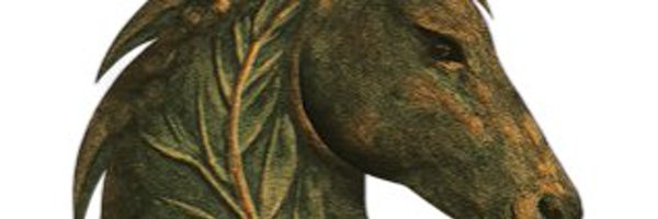 DHDirectives Profile Banner