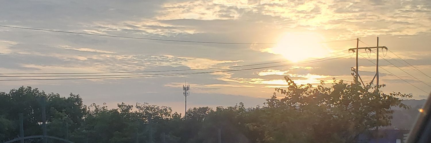 mtroya_'s profile banner image