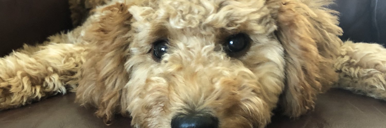 mr_lidkey's profile banner image