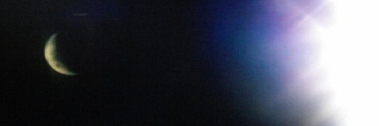 Clomsaurius's profile banner image