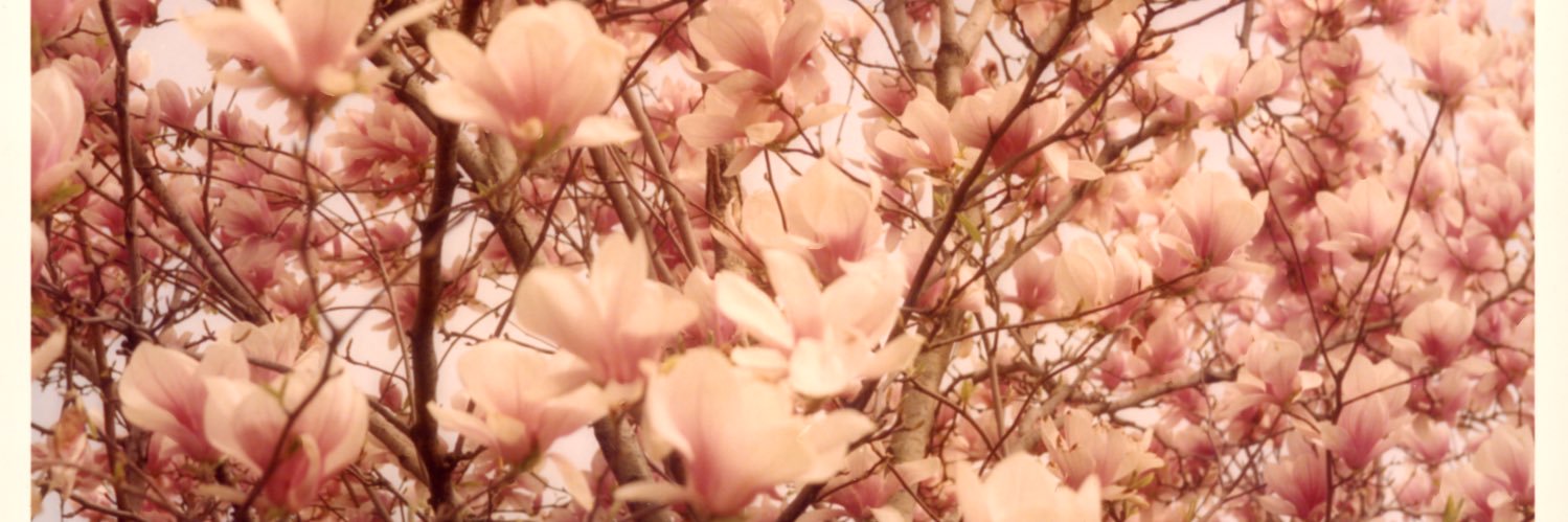 AnndyJackson's profile banner image