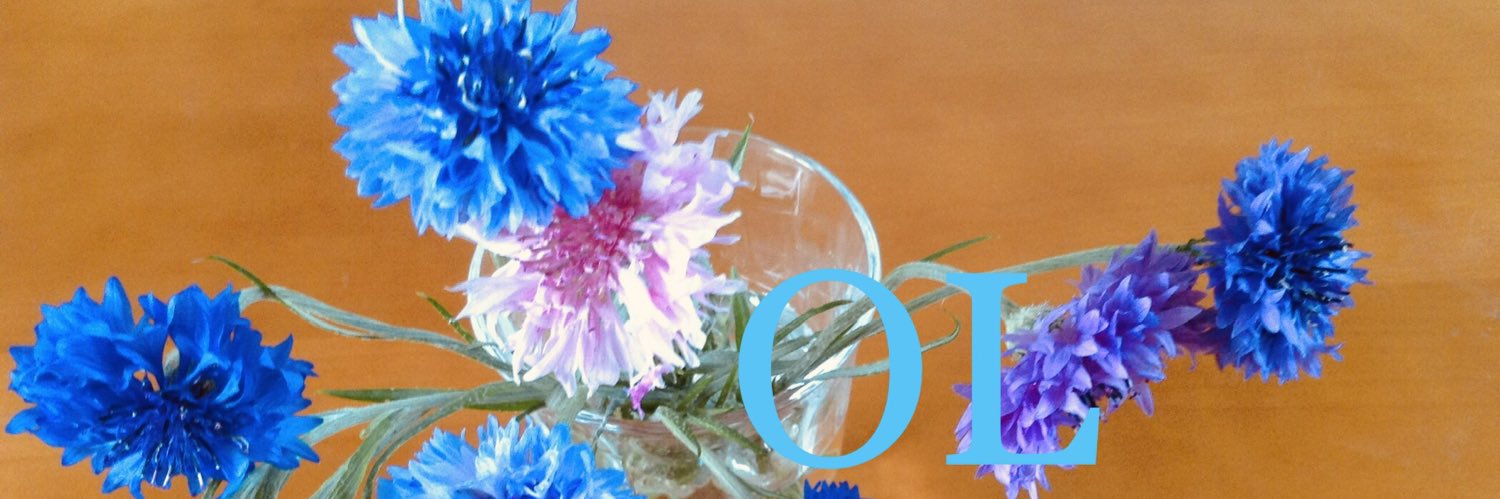 oyoyok's profile banner image