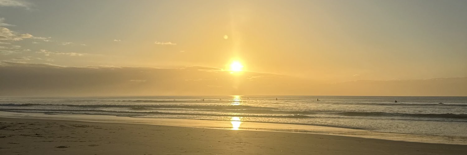 Warren_the_Lion🦁 banner