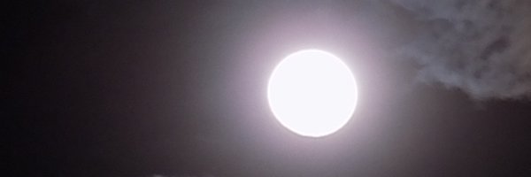 shaiontheprowl Profile Banner