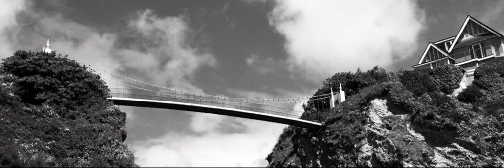 wadeybird's profile banner image