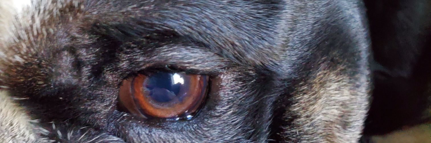AkersRobb's profile banner image