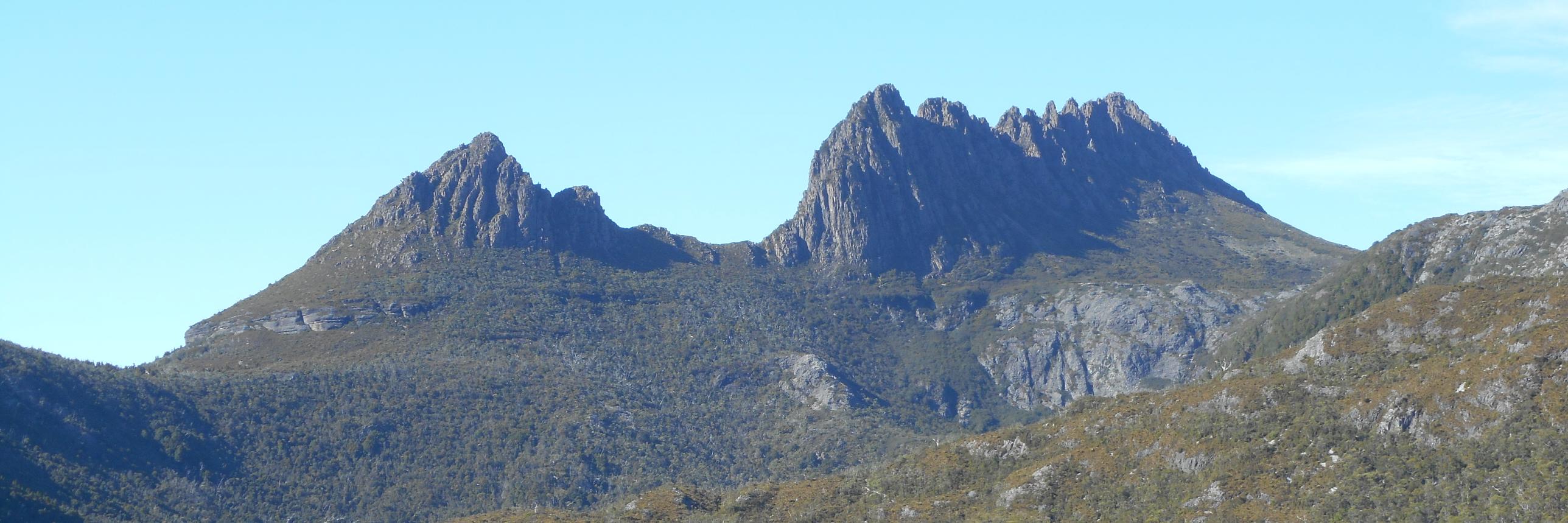 Matthew Hollings banner