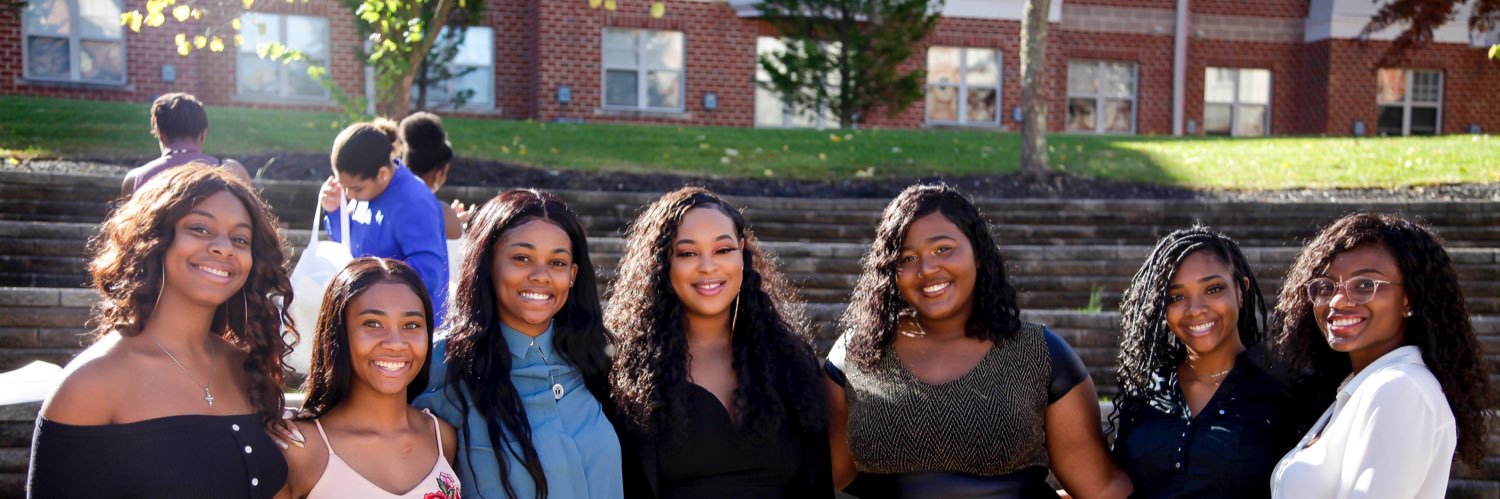 fsu_LADYBUGS's profile banner image