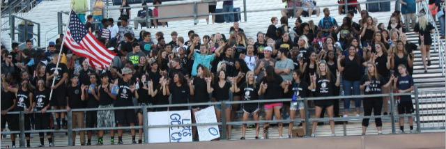 The Wolf Pack banner