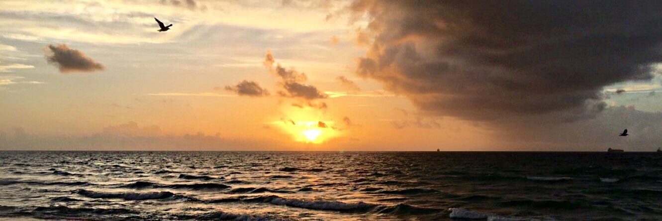 heatheroseee's profile banner image