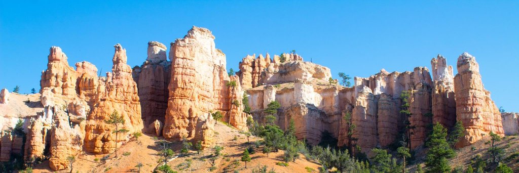 Ryan D. Ridenbaugh banner