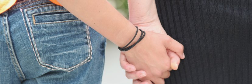 The Dibble Institute banner