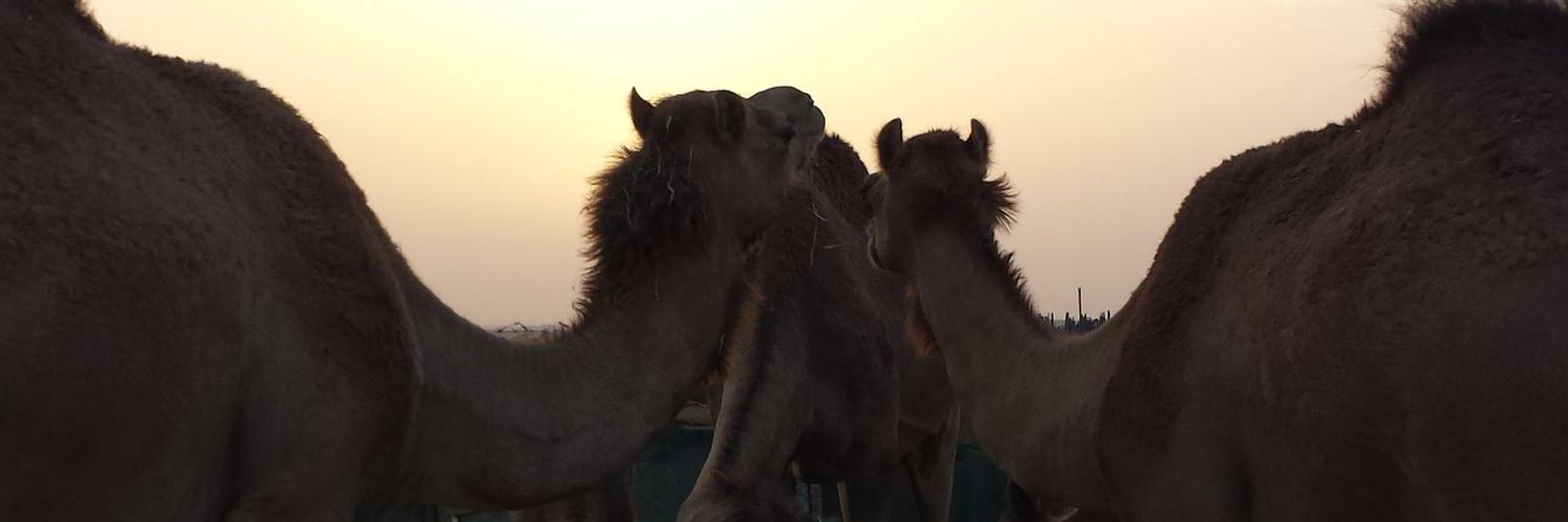 MohammedButti's profile banner image