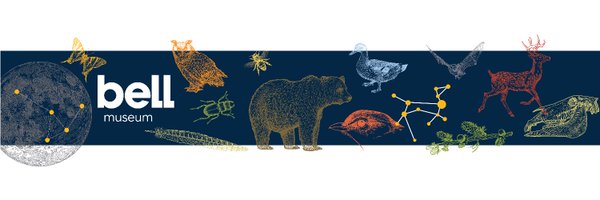 BellMuseum Profile Banner