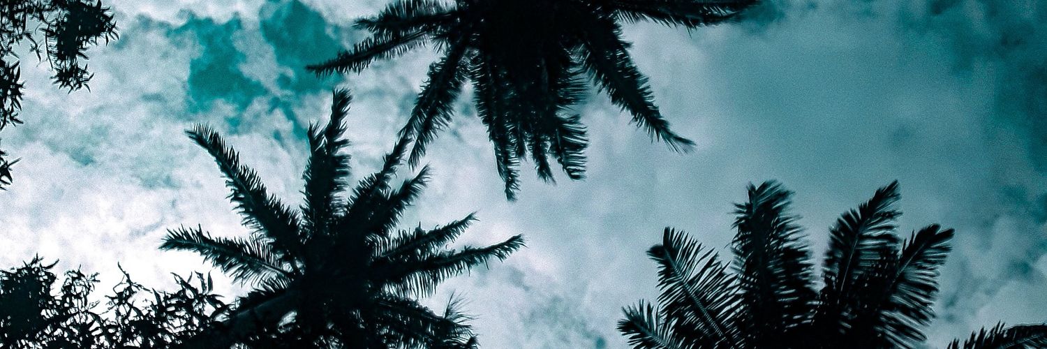 damn_hx's profile banner image
