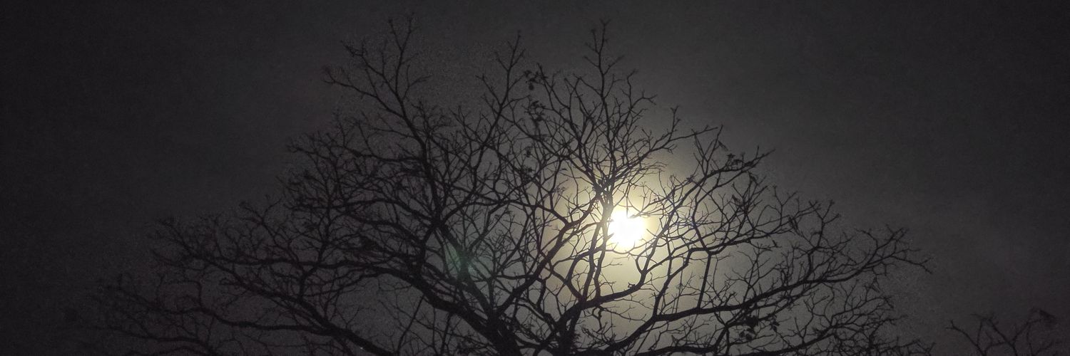 ᴍᴀʀᴛɪɴ banner