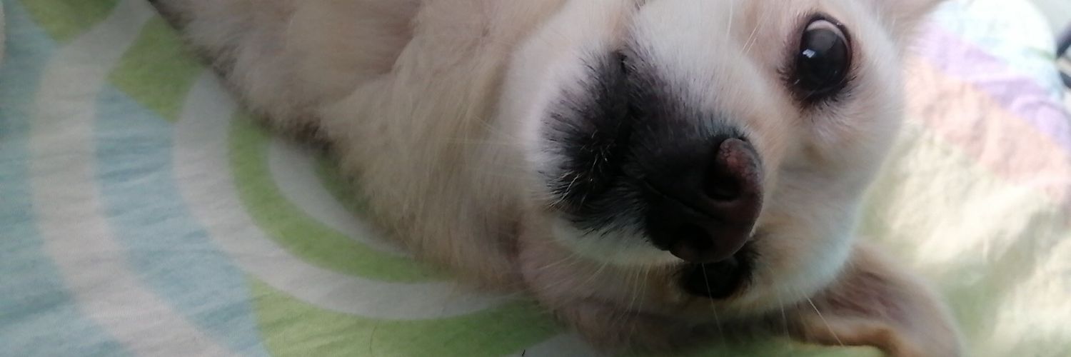 judesmncaps's profile banner image
