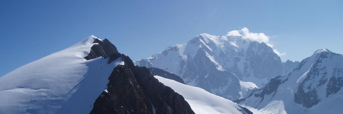 Domy Bourgeois banner