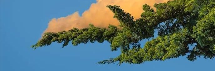 biggay65's profile banner image