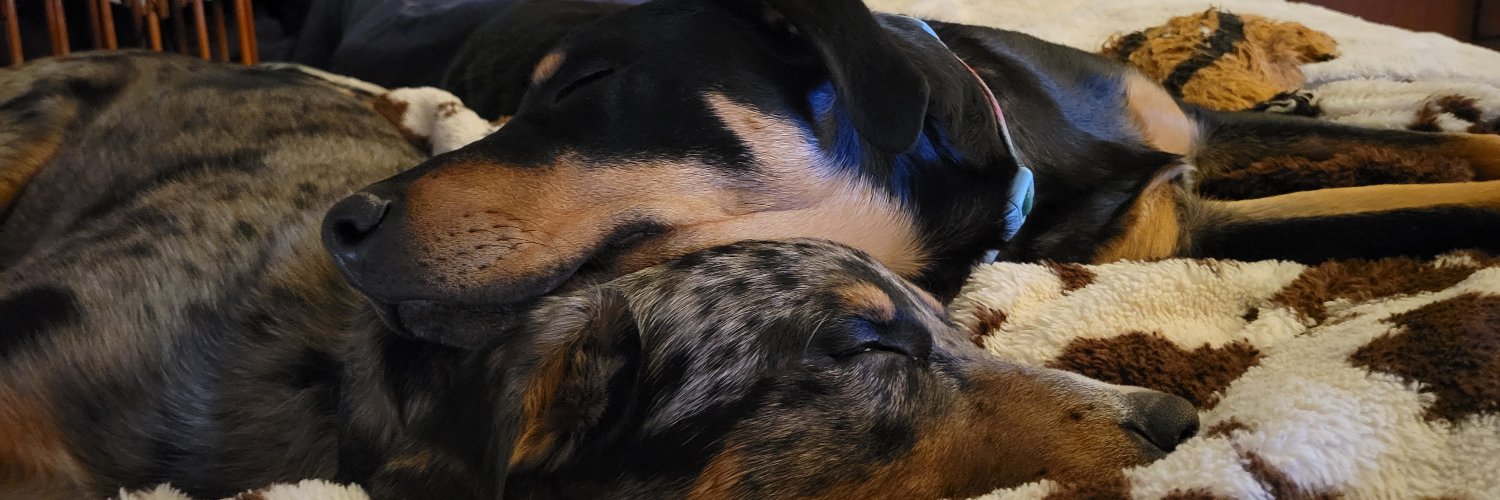 Papa Woof und Krampus und Bleaken's banner