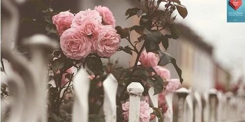 ms_yunni's profile banner image