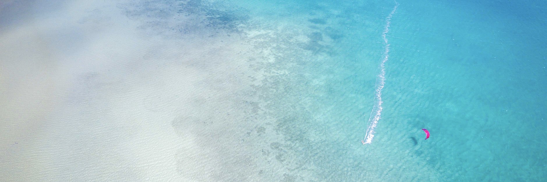 Isabelle Fabre banner