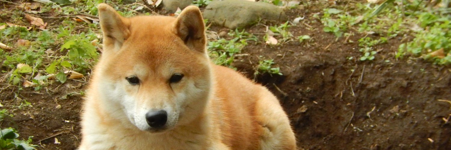 あずま banner