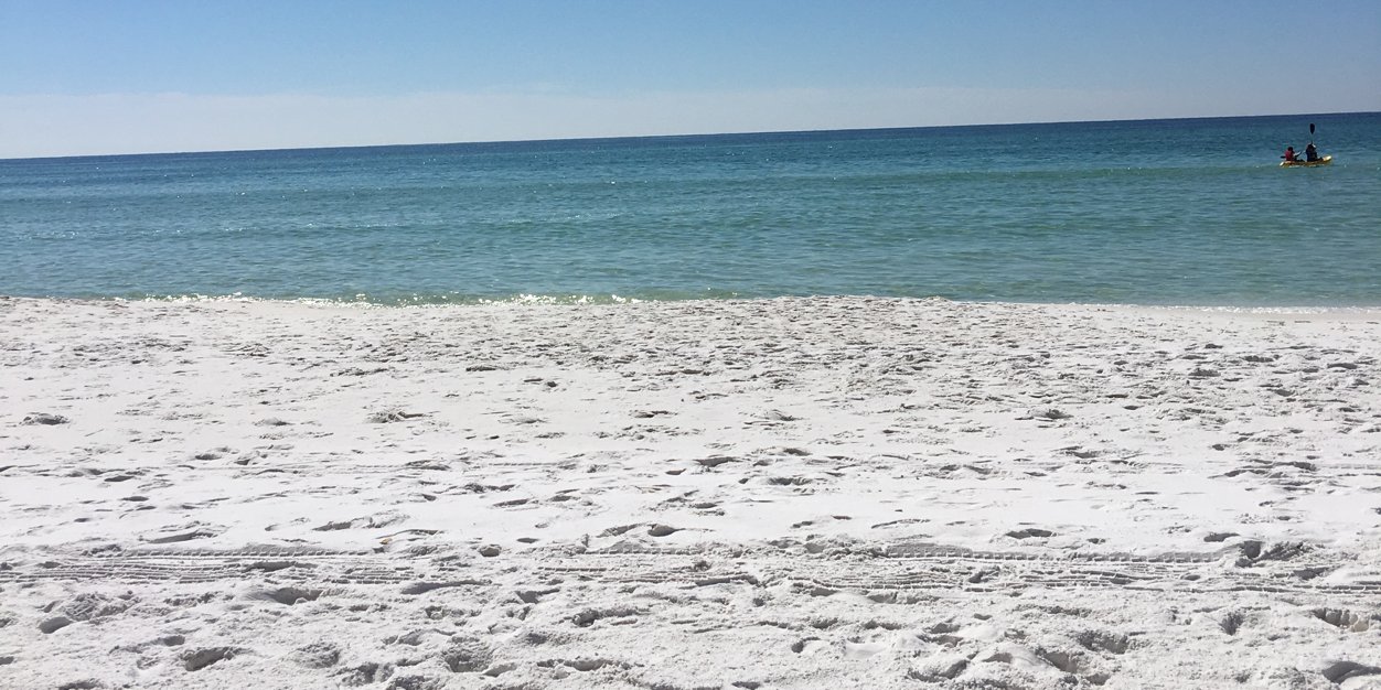 Rachelbernish's profile banner image