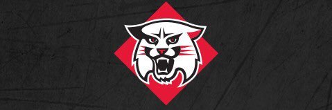 mjfresina's profile banner image