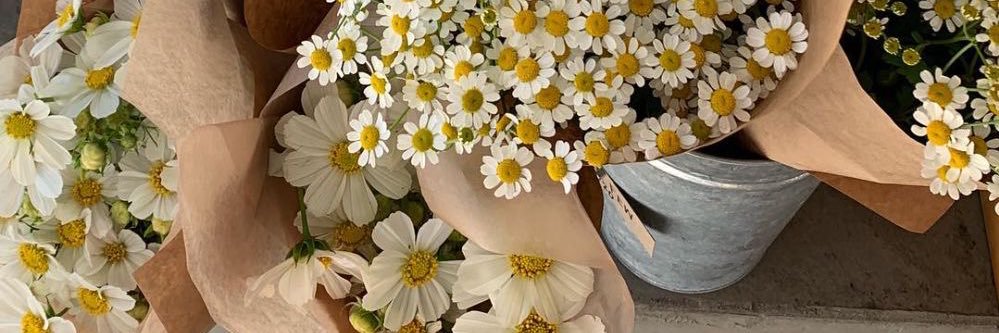 nurmatar99's profile banner image